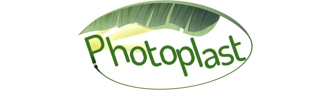 Photoplast Logo